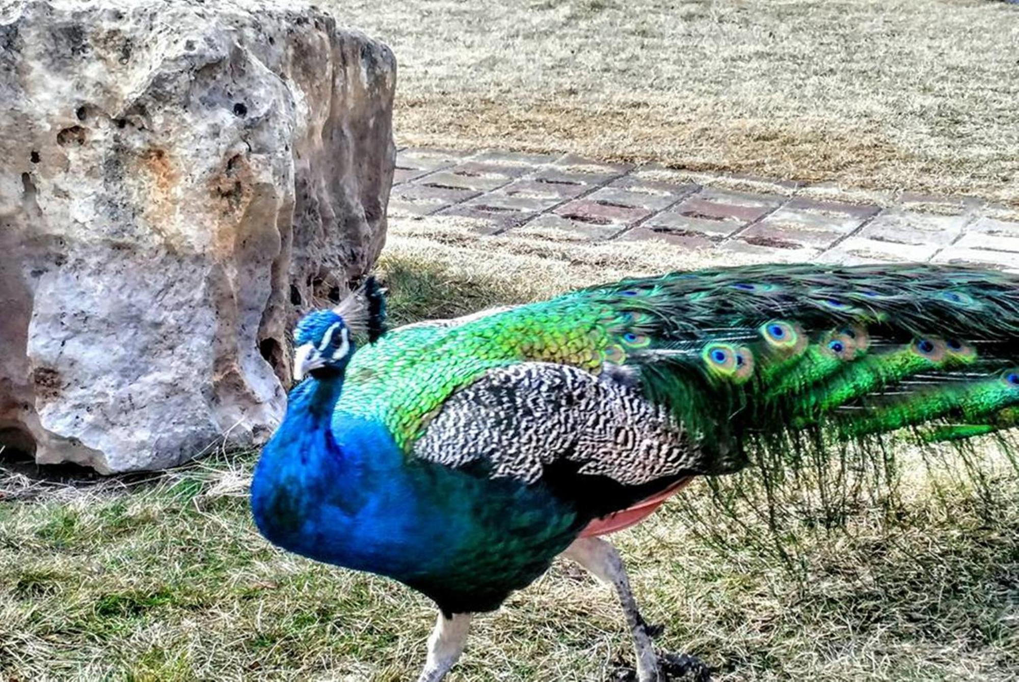 Basaranlar Thermal Otel Gazligol エクステリア 写真